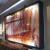 Lucite Wall Mural